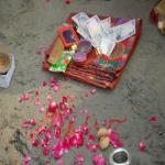 Vraj-Yatra-2014- (1737)